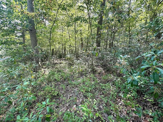 LOT70 Pine Dr, Terra Alta, WV 26764