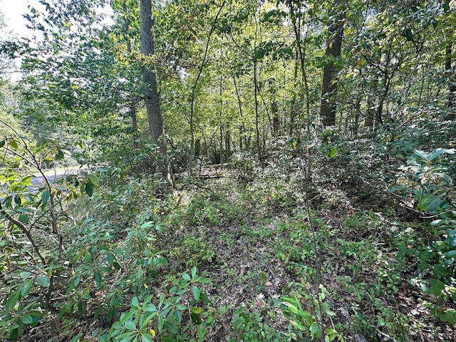 LOT70 Pine Dr, Terra Alta, WV 26764