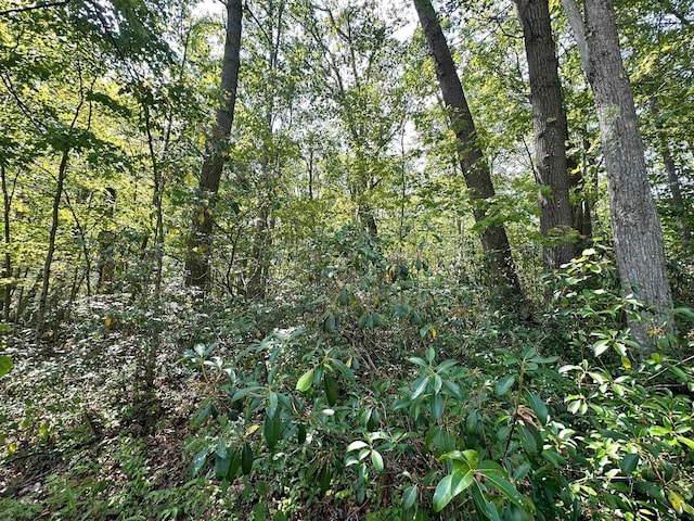 LOT70 Pine Dr, Terra Alta, WV 26764