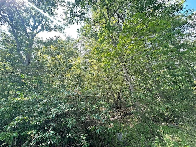 Listing photo 2 for LOT70 Pine Dr, Terra Alta WV 26764