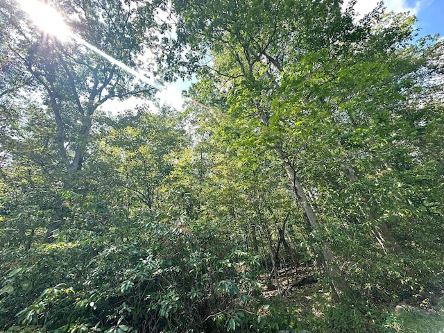 LOT70 Pine Dr, Terra Alta, WV 26764
