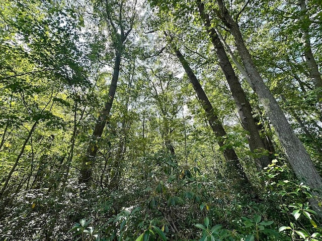 LOT70 Pine Dr, Terra Alta, WV 26764