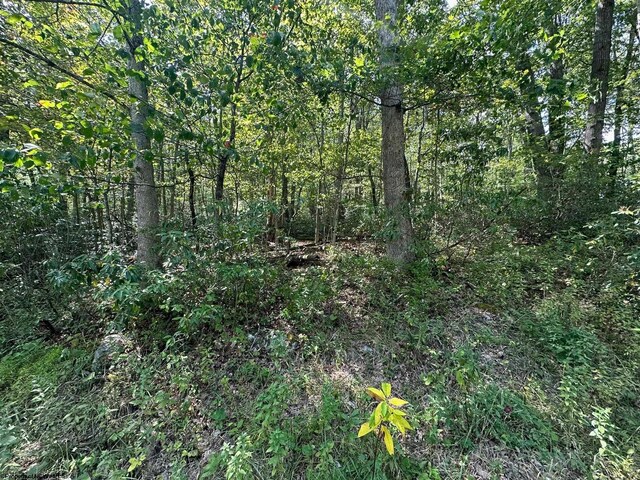 LOT70 Pine Dr, Terra Alta, WV 26764
