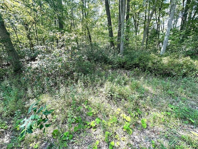 LOT70 Pine Dr, Terra Alta, WV 26764