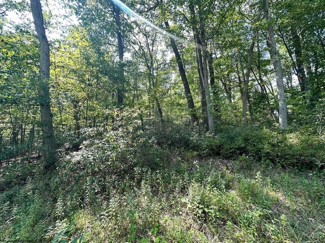 LOT70 Pine Dr, Terra Alta, WV 26764