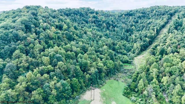 TBD Crabapple Run Rd, Mannington WV, 26582 land for sale