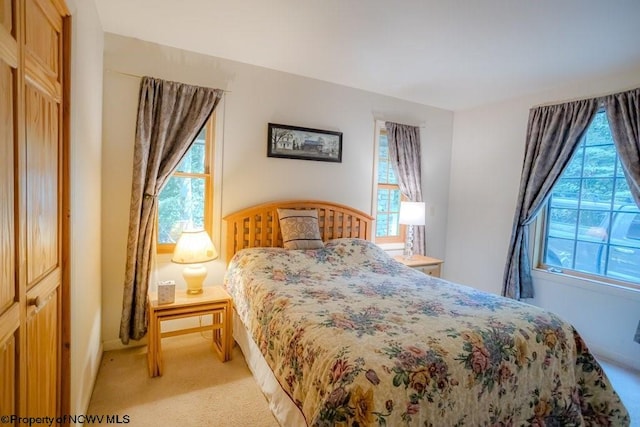 carpeted bedroom featuring a closet