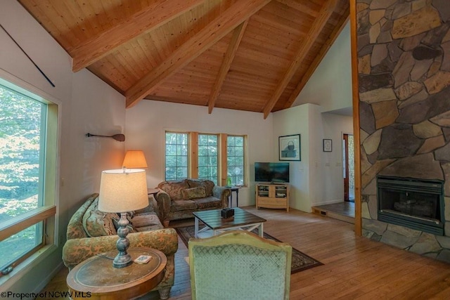 living room with a fireplace, plenty of natural light, and wood-type flooring