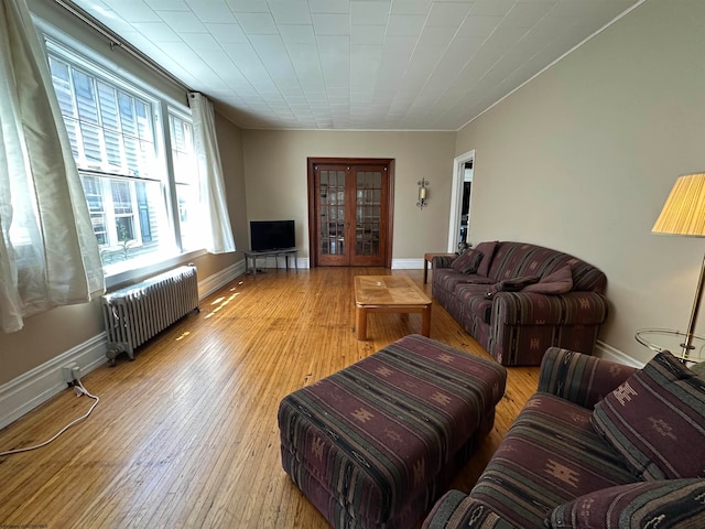 living room with radiator and wood-type flooring