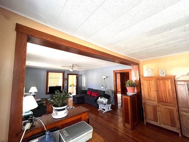 living room with ceiling fan and dark hardwood / wood-style floors