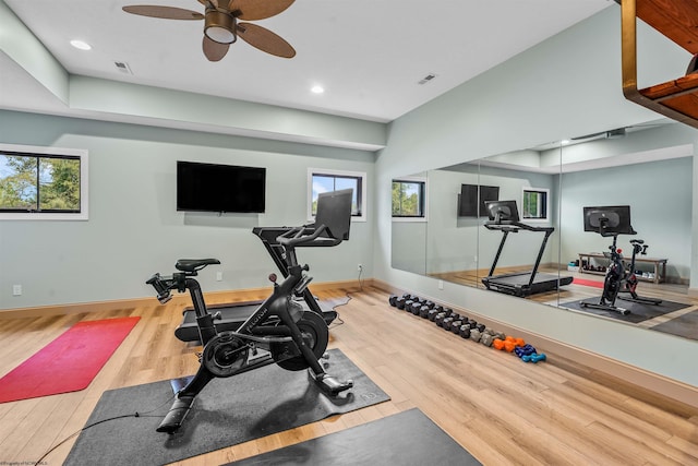 workout room featuring hardwood / wood-style floors, ceiling fan, and a healthy amount of sunlight