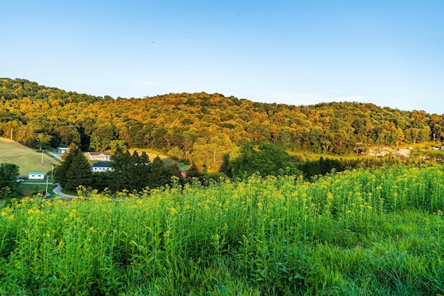 LOT1 Lynch Rd, Morgantown, WV 26501