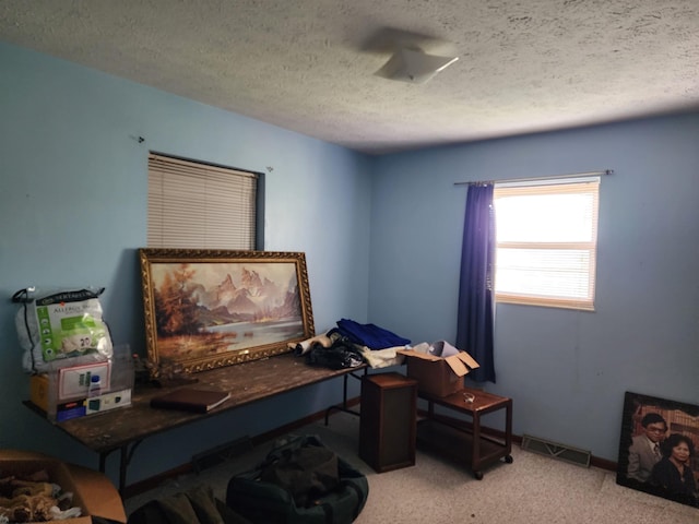 413 Green Acres Cir, Spencer, WV 25276 - office featuring visible vents, carpet floors, and a textured ceiling