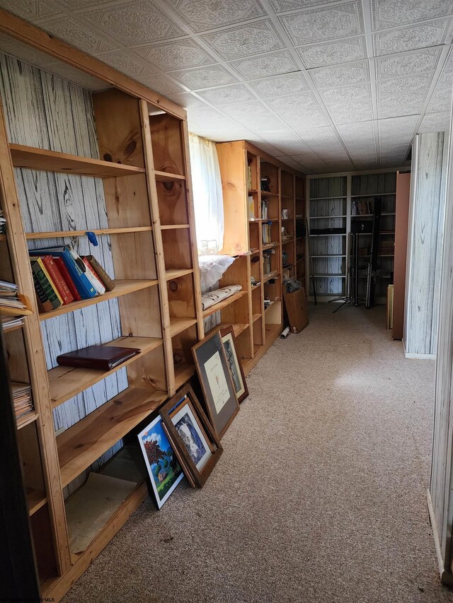 413 Green Acres Cir, Spencer, WV 25276 - basement with wooden walls and carpet floors