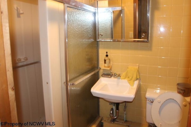 413 Green Acres Cir, Spencer, WV 25276 - bathroom featuring tile walls, toilet, and a sink