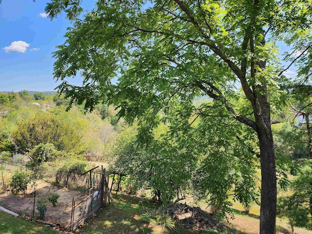 413 Green Acres Cir, Spencer, WV 25276 - view of yard