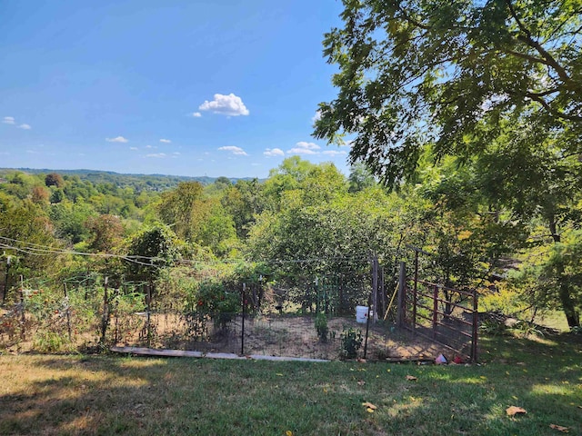 413 Green Acres Cir, Spencer, WV 25276 - view of yard featuring a view of trees and fence