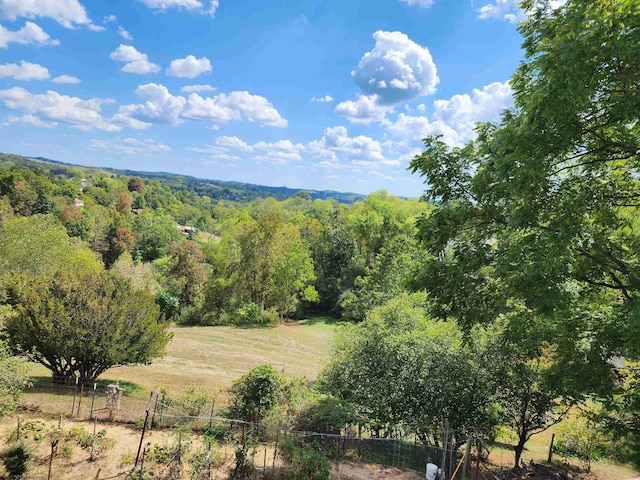 413 Green Acres Cir, Spencer, WV 25276 - view of landscape with a wooded view