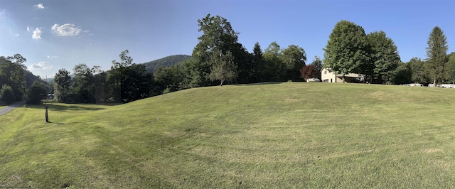 view of yard with a mountain view