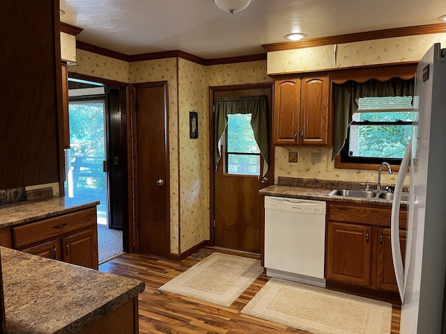 kitchen featuring white appliances, a wealth of natural light, sink, and dark hardwood / wood-style floors