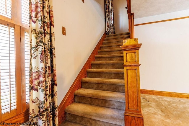 stairway with a towering ceiling and carpet floors