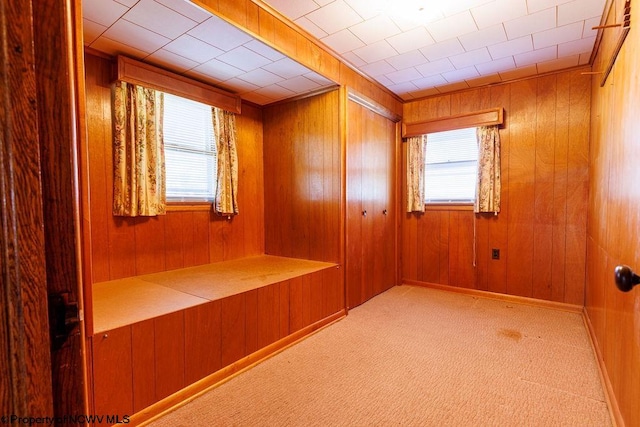 mudroom featuring wooden walls and carpet flooring