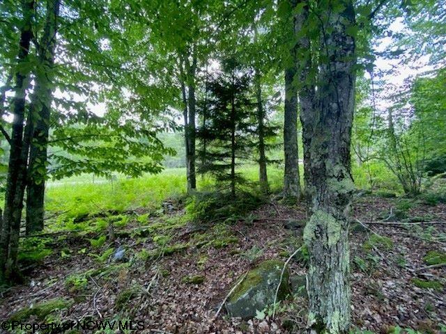 LOT33 Canal St, Davis WV, 26260 land for sale