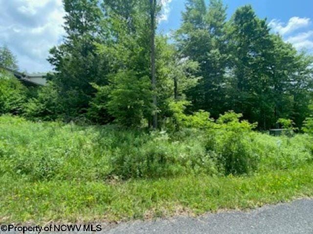 Listing photo 2 for LOT33 Canal St, Davis WV 26260