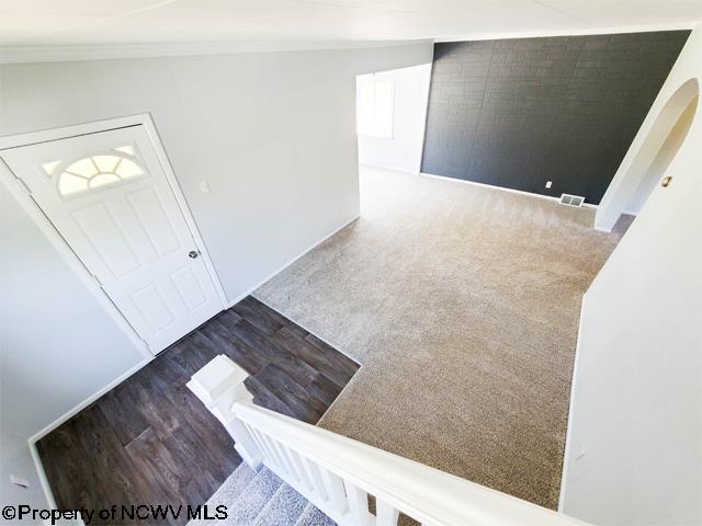 foyer entrance with crown molding, plenty of natural light, and carpet flooring