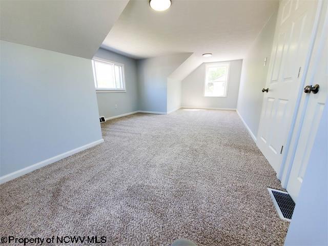 additional living space with visible vents, carpet flooring, plenty of natural light, and baseboards