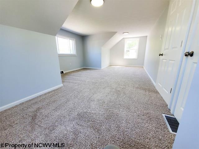 bonus room with a wealth of natural light and carpet floors