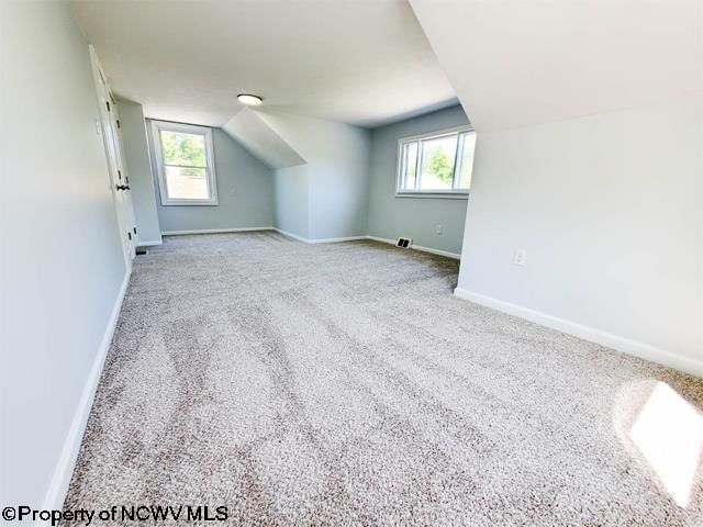 bonus room with a healthy amount of sunlight, vaulted ceiling, and carpet