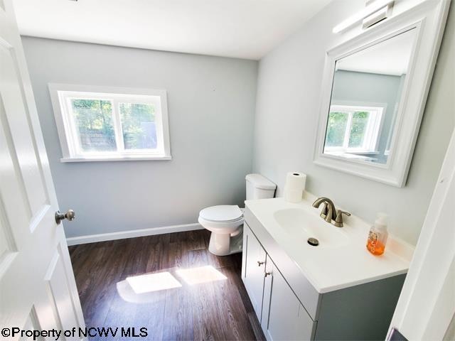 bathroom with vanity, toilet, and wood-type flooring