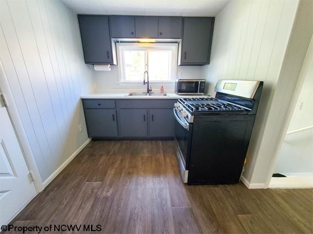 kitchen featuring dark wood-type flooring, stainless steel appliances, and sink