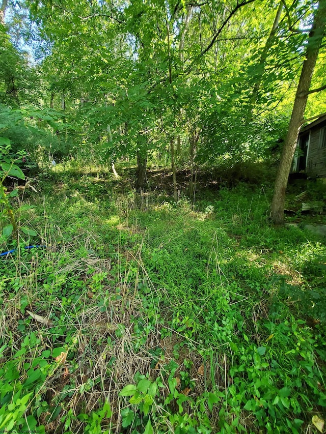 Listing photo 2 for TBD Hendricks Hill Rd, Hambleton WV 26269