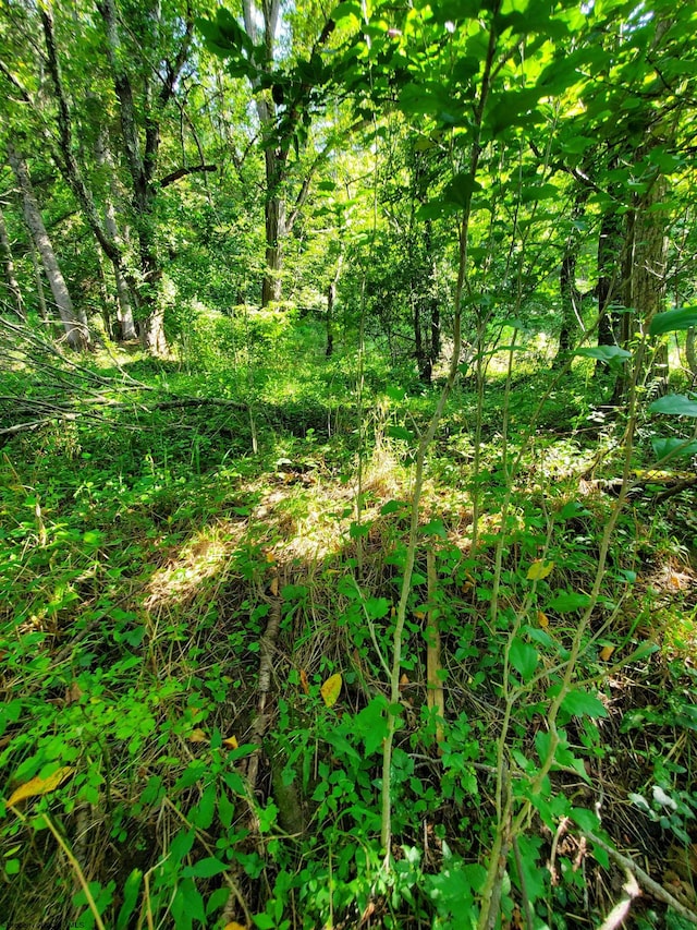 Listing photo 3 for TBD Hendricks Hill Rd, Hambleton WV 26269