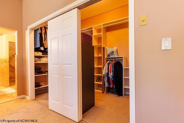 view of closet