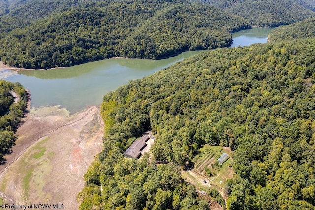 birds eye view of property with a view of trees and a water view