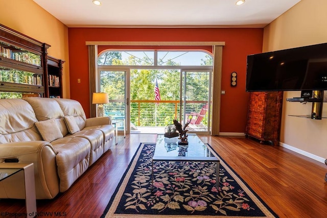 living area featuring baseboards, plenty of natural light, and wood finished floors