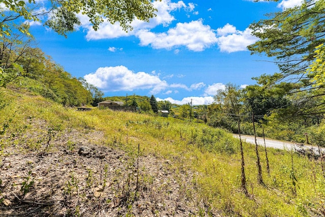 view of local wilderness