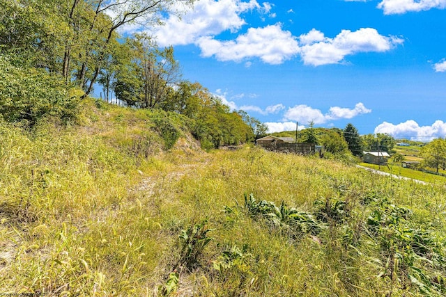 view of landscape with a rural view