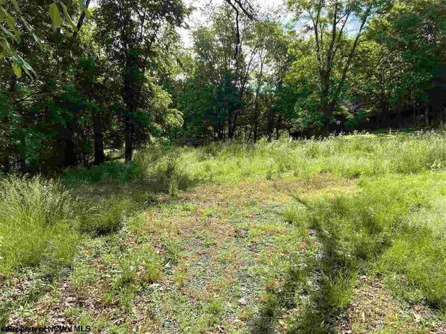 836 Greenbag Rd, Morgantown WV, 26508 land for sale