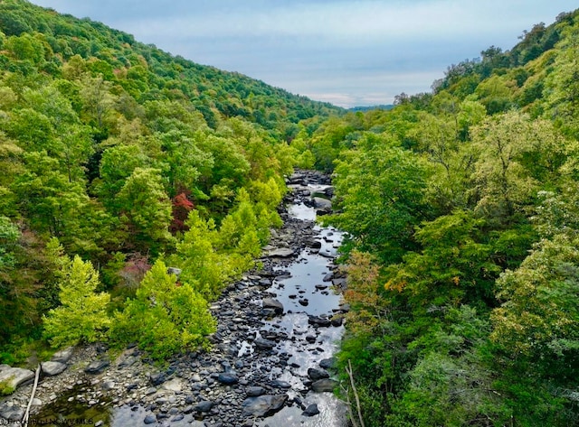 TBD Knobtown Rd, Belington WV, 26250 land for sale