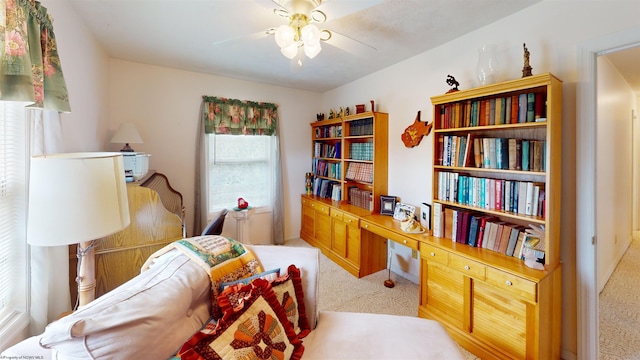 carpeted office space with ceiling fan and a wealth of natural light