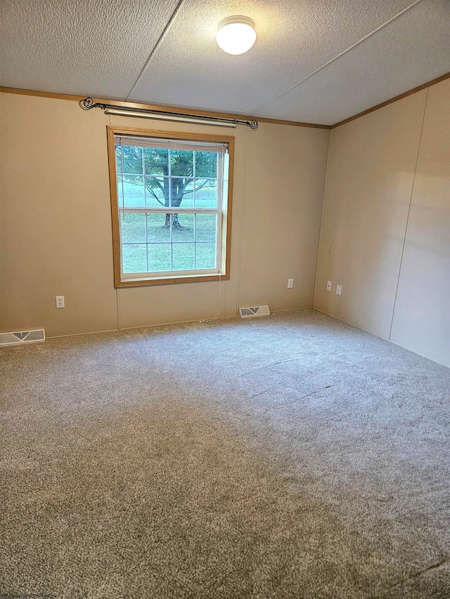 empty room featuring a textured ceiling and carpet flooring