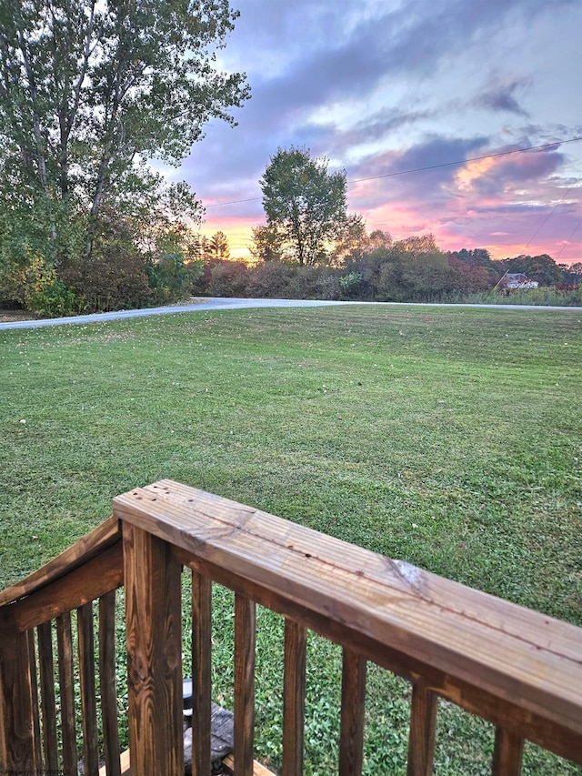 view of yard at dusk