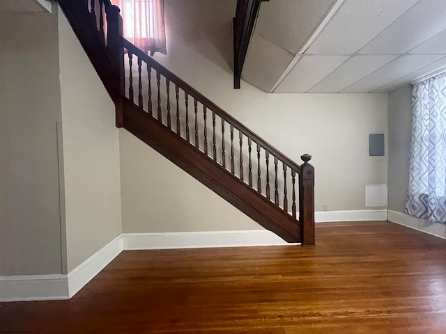 staircase featuring a drop ceiling and hardwood / wood-style floors