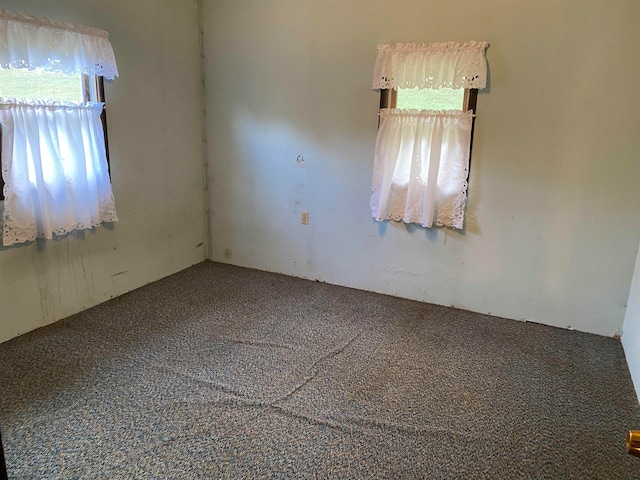 empty room featuring carpet floors and plenty of natural light