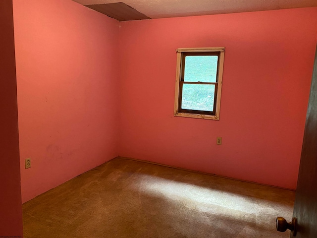 spare room with carpet floors and a textured ceiling