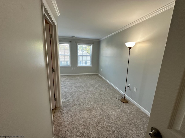 interior space with light colored carpet and ornamental molding